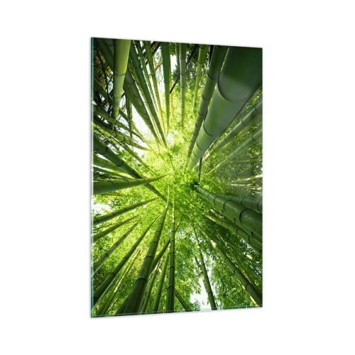 Quadro su vetro - Vista attraverso un boschetto di bambù verde - 80x120cm - Nella foresta di bambù - Decorazione murale moderna per soggiorno e camera da letto ARTTOR