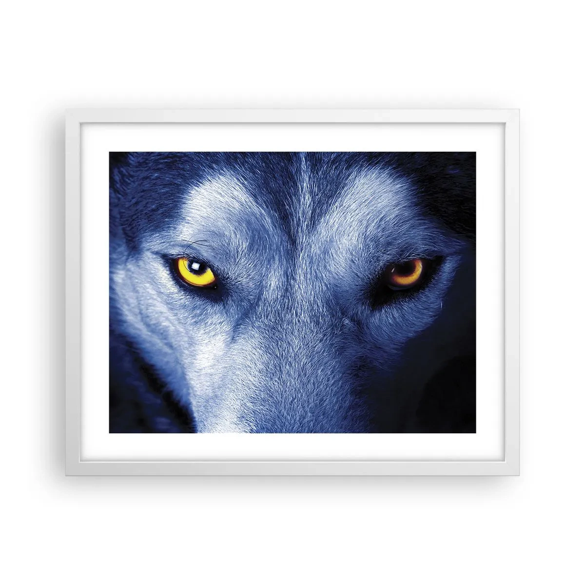 Poster in cornice bianca - Sguardo ipnotico - 50x40 cm