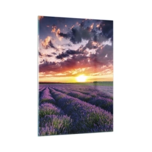 Quadro su vetro - Un campo di lavanda al tramonto con un cielo colorato e nuvole - 50x70cm - Il mondo della lavanda - Decorazione murale moderna per soggiorno e camera da letto ARTTOR