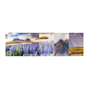 Campione Di Fotomurale Standard Eco - Forza e asprezza accanto alla mitezza - Paesaggio, Montagne, Fiori - 100x30 cm