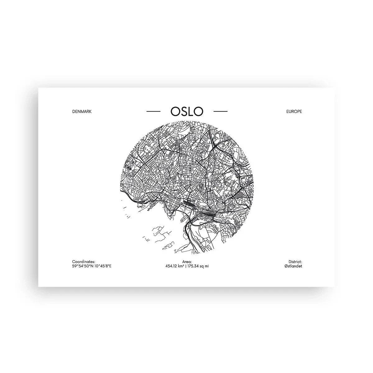 Poster - Anatomia di Oslo - 91x61 cm