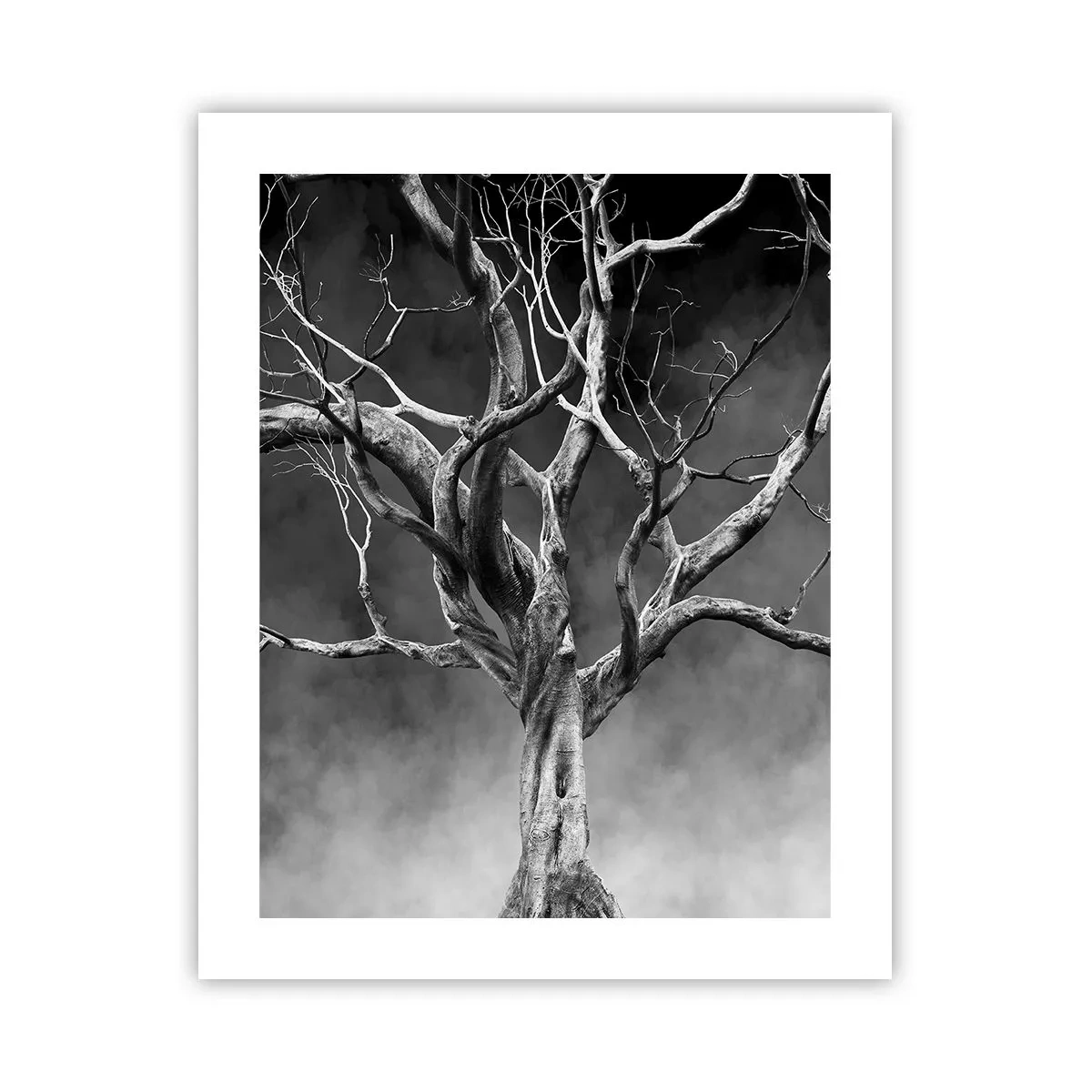 Poster - Primordiale e sacro - 40x50 cm