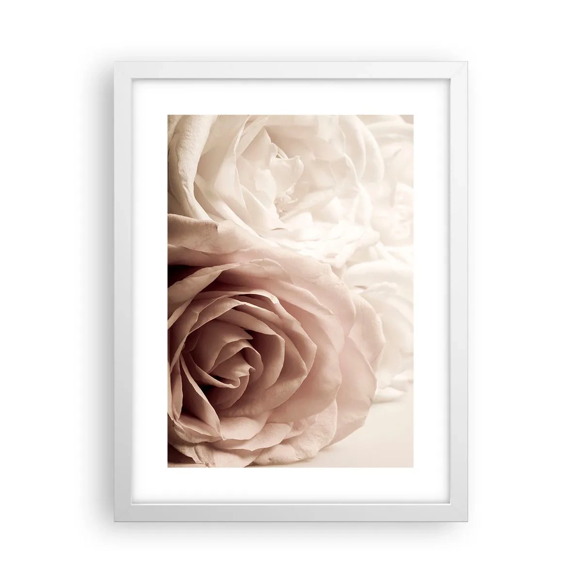 Poster in cornice bianca - Nel cuore della rosa - 30x40 cm