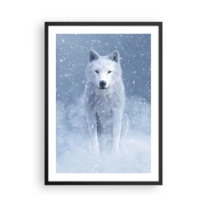 Poster in cornice nera - Un lupo bianco in un paesaggio invernale, circondato dalla neve. - 50x70cm - Nello spirito dell'inverno - Decorazione murale moderna per soggiorno e camera da letto ARTTOR