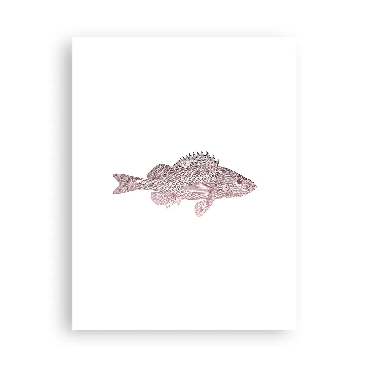 Poster - Il pesce dagli occhi enormi - 30x40 cm