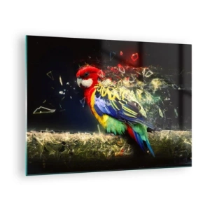 Quadro su vetro - Un pappagallo colorato in una composizione artistica con effetto frantumato - 70x50cm - Messaggero di luce - Decorazione murale moderna per soggiorno e camera da letto ARTTOR