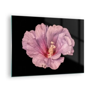 Quadro su vetro - Primo piano di un fiore di ibisco rosa su sfondo nero - 70x50cm - Dritto al cuore - Decorazione murale moderna per soggiorno e camera da letto ARTTOR