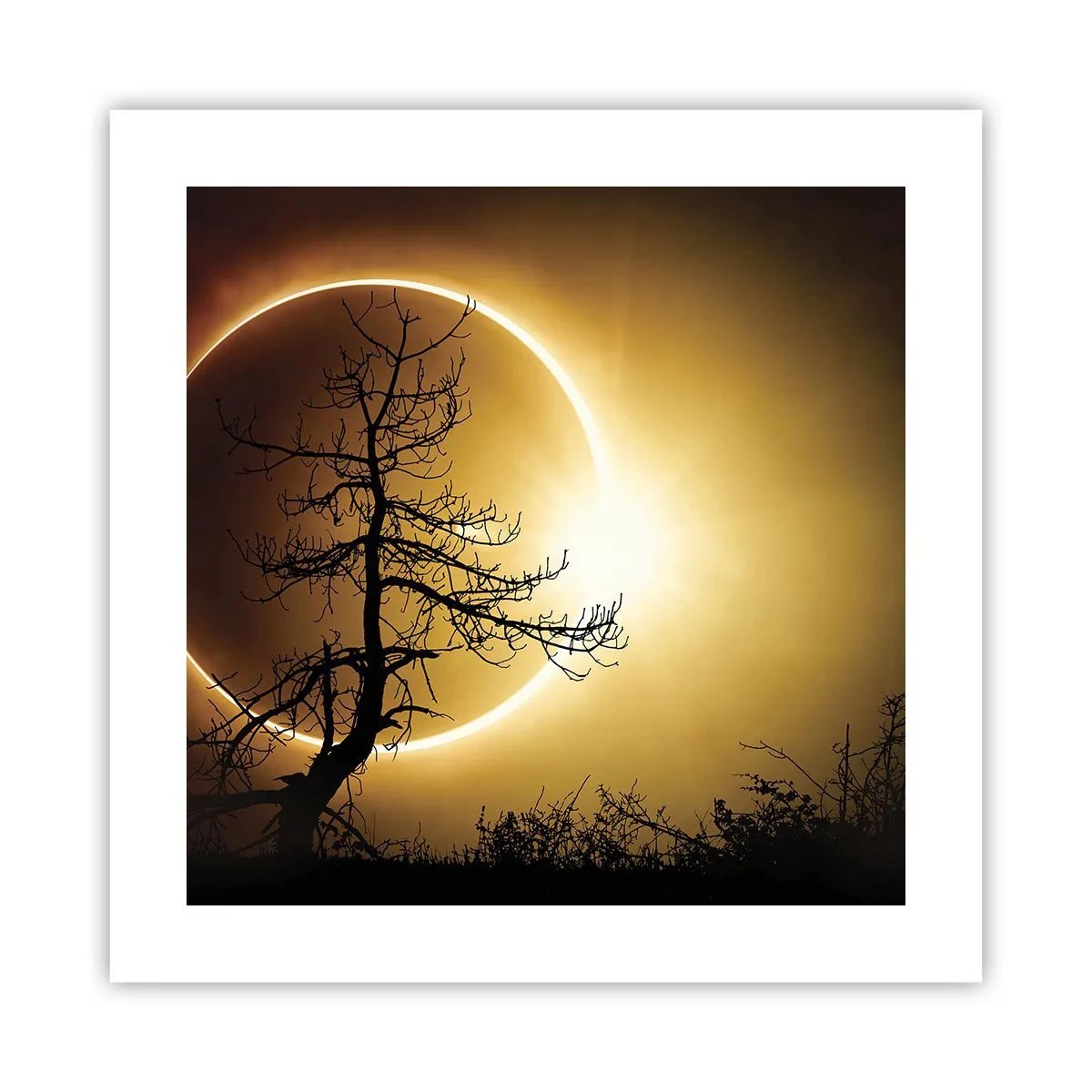 Poster - Eclissi totale - 40x40 cm