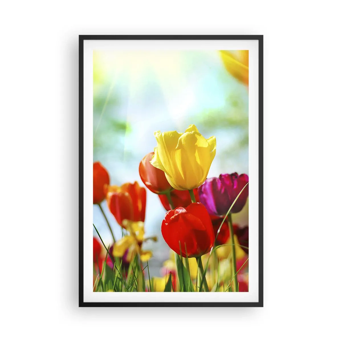 Poster in cornice nera - Tutti i colori del sole - 61x91 cm