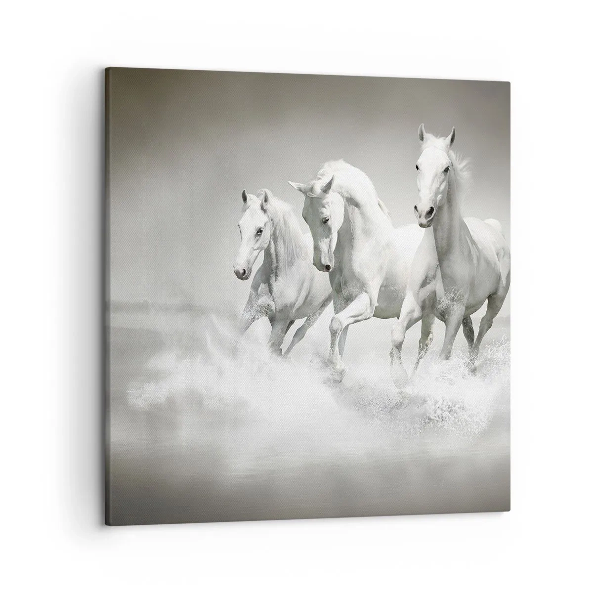 Quadro su tela - Stampe su Tela - Estasi bianca - 50x50 cm