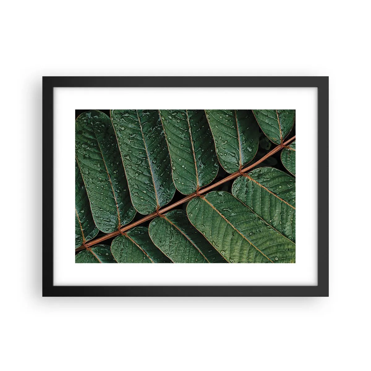 Poster in cornice nera - Al ritmo verde - 40x30 cm