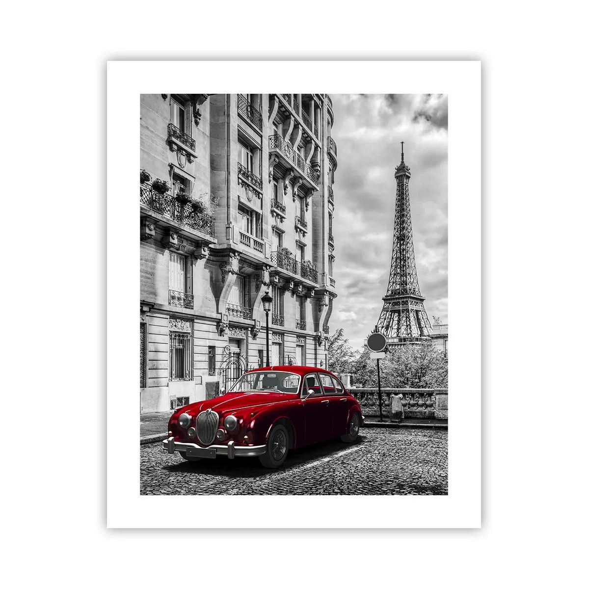 Poster - Predatore in città - 40x50 cm