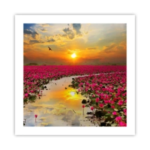 Poster - La vita segreta del lago - 50x50 cm
