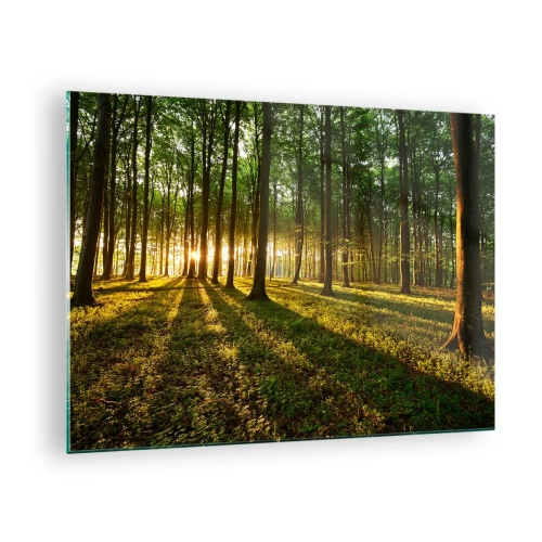 Quadro su vetro - Una radura della foresta illuminata dai raggi del sole nascente - 70x50cm - La foto di ogni primavera - Decorazione murale moderna per soggiorno e camera da letto ARTTOR