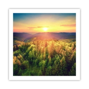 Poster - Vette e cime - 60x60 cm