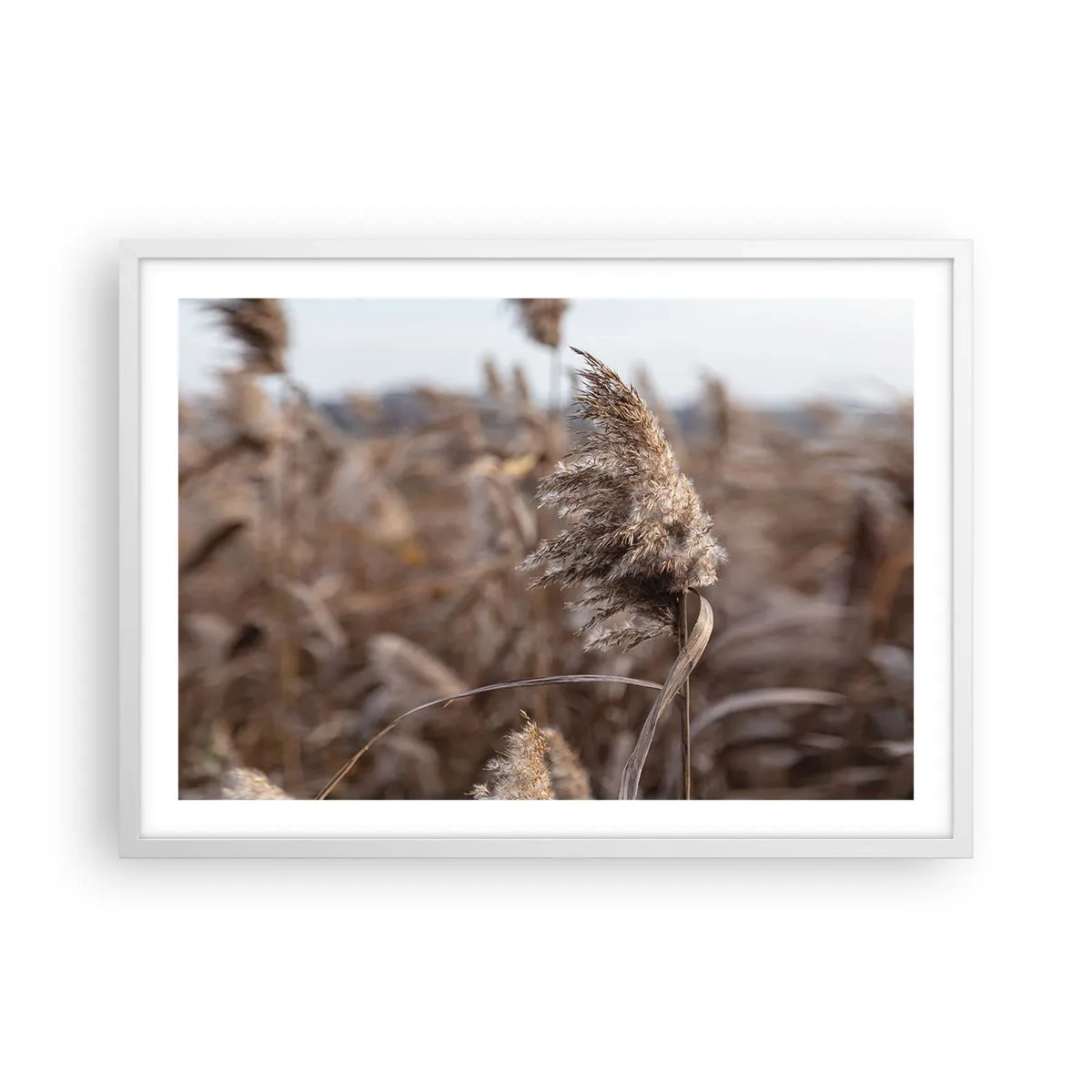 Poster in cornice bianca - è tempo di volare col vento - 70x50 cm