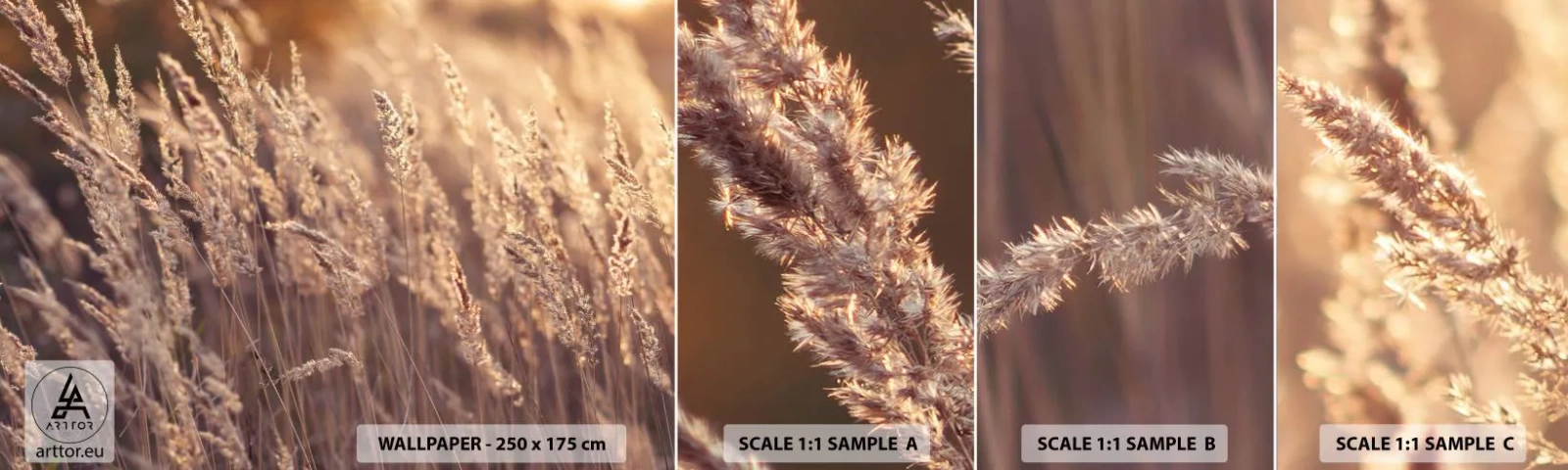 Campione Di Fotomurale Standard Eco - Pronti a salutare l'autunno - Paesaggio, Spighe di grano, Prato - 100x30 cm