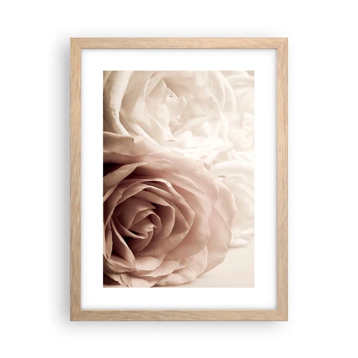 Poster in cornice rovere chiaro - Nel cuore della rosa - 30x40 cm