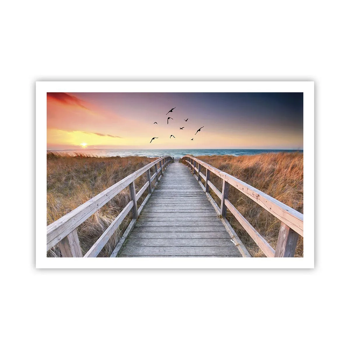 Poster - Spazio per volare - 91x61 cm