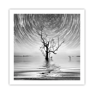 Poster - Sinfonia della natura - 60x60 cm