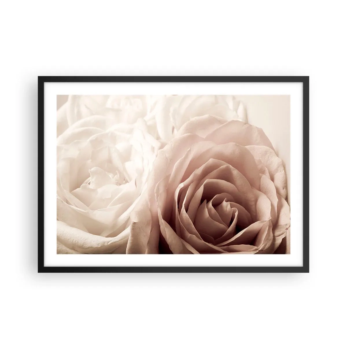Poster in cornice nera - Delicate rose in tonalità pastello del beige - 70x50cm - Nel cuore della rosa - Decorazione murale moderna per soggiorno e camera da letto ARTTOR