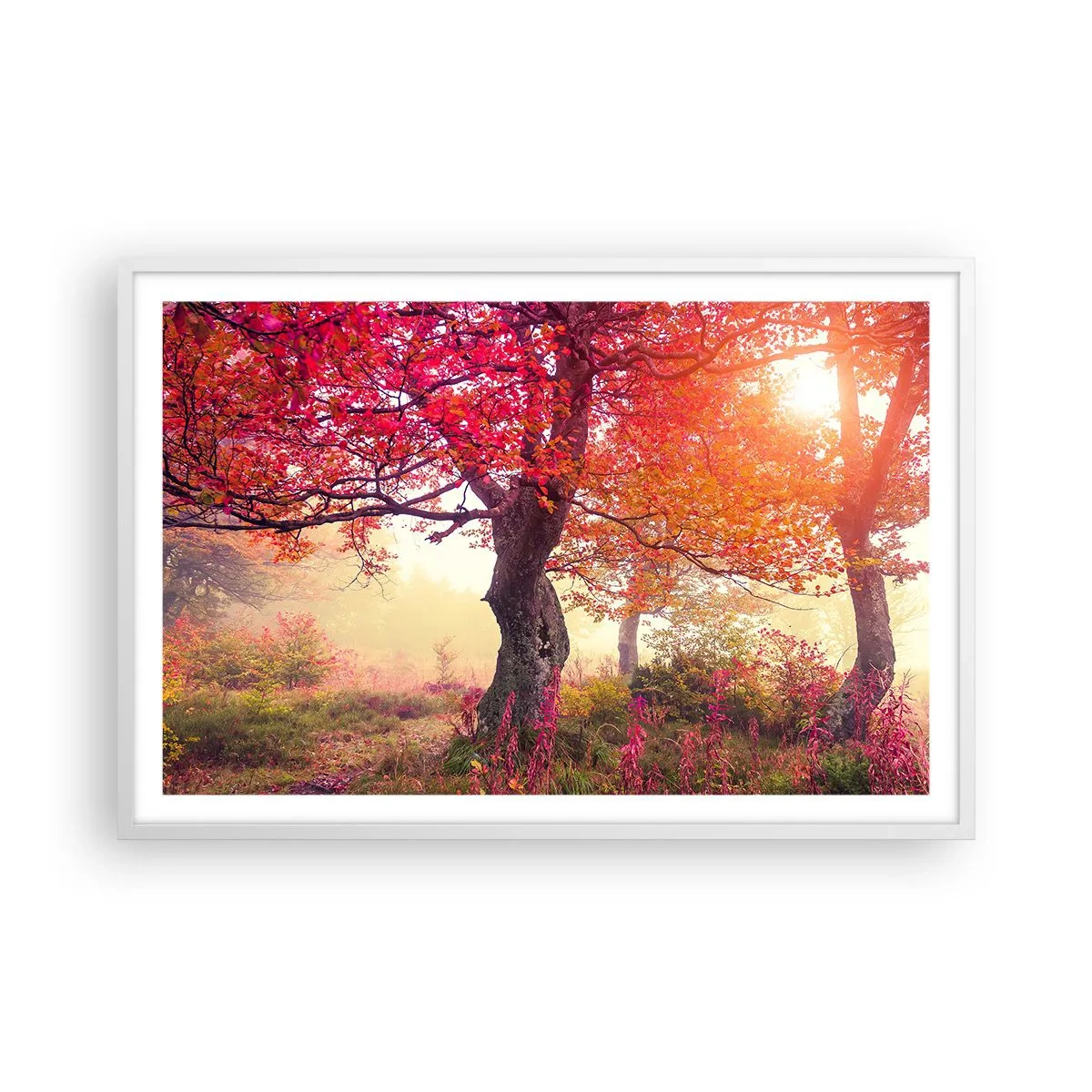 Poster in cornice bianca - L'esplosione della fioritura - 91x61 cm