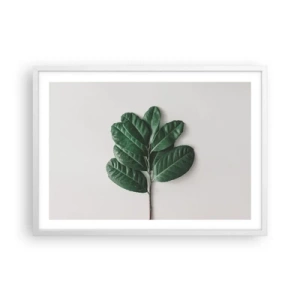 Poster in cornice bianca - Il disegno della natura stessa - 70x50 cm