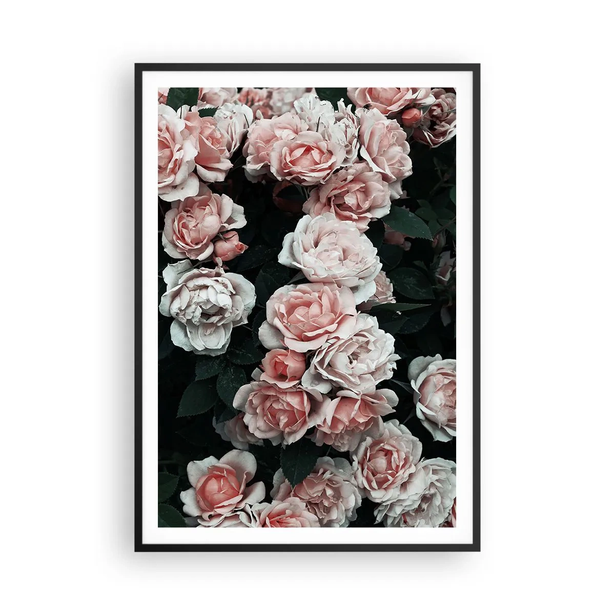 Poster in cornice nera - Composizione di rose - 70x100 cm