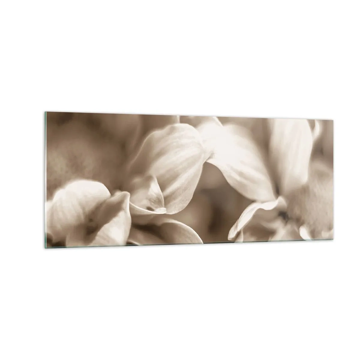 Quadro su vetro - Mite come un sorriso - 100x40 cm