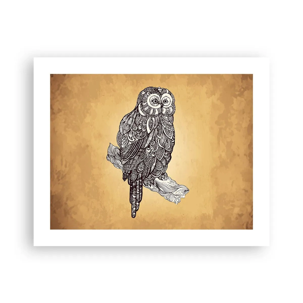Poster - Delicati ghirigori di saggezza - 50x40 cm