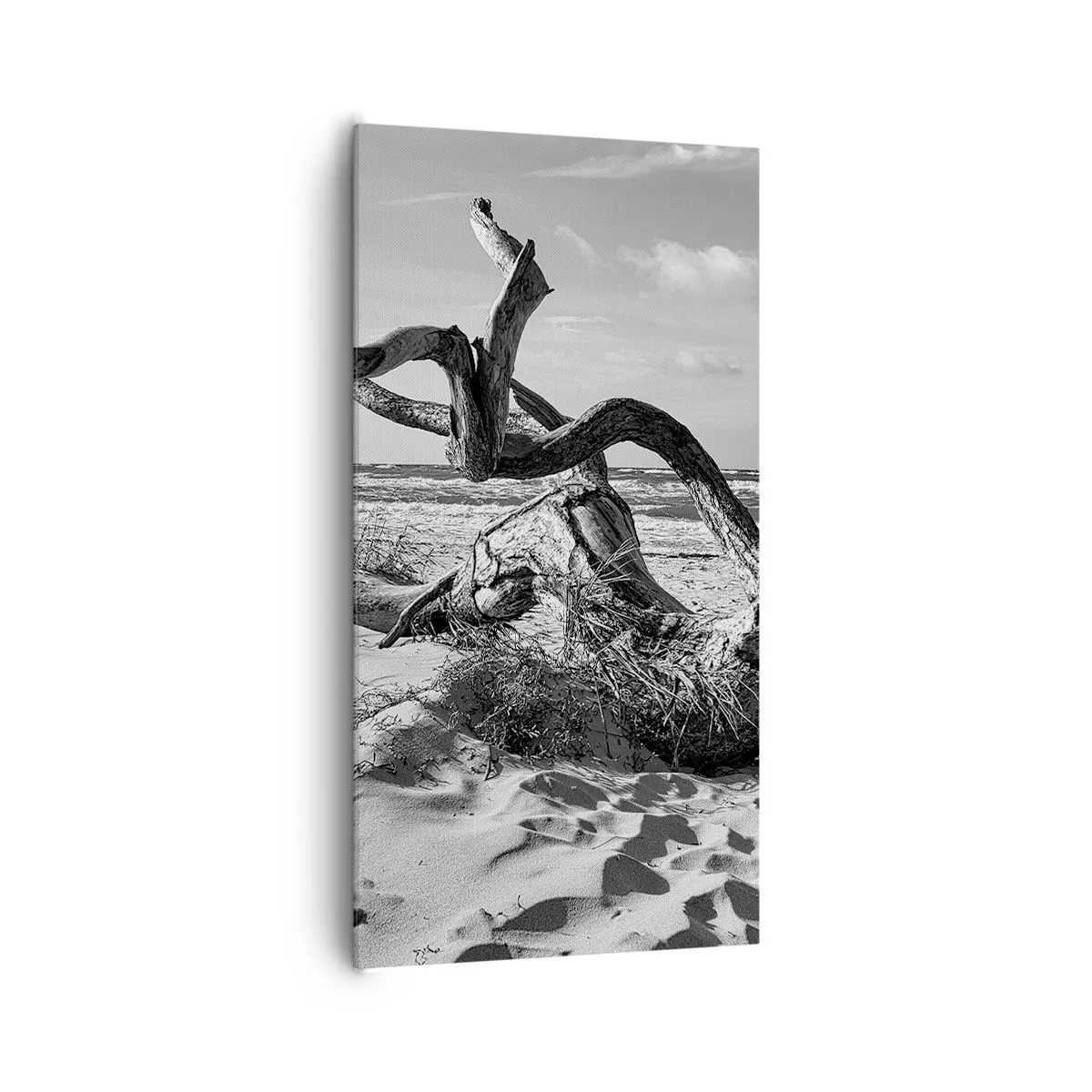 Quadro su tela - Stampe su Tela - Scolpito dal mare - 65x120 cm