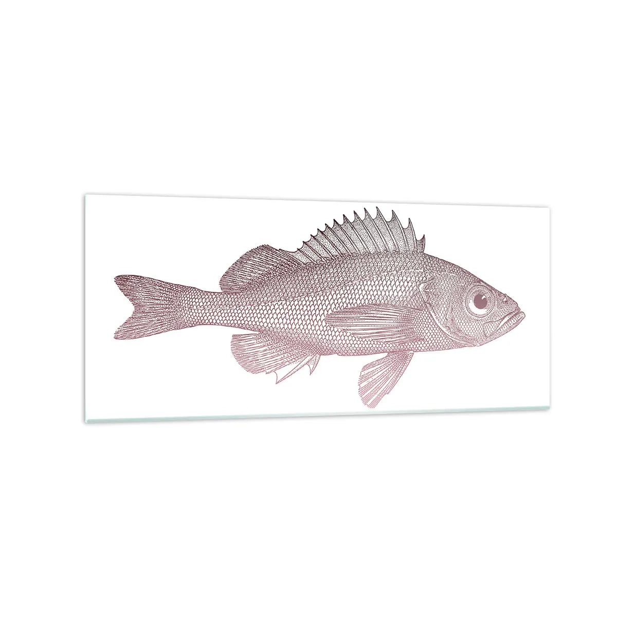 Quadro su vetro - Illustrazione dettagliata di un pesce su sfondo bianco - 120x50cm - Il pesce dagli occhi enormi - Decorazione murale moderna per soggiorno e camera da letto ARTTOR
