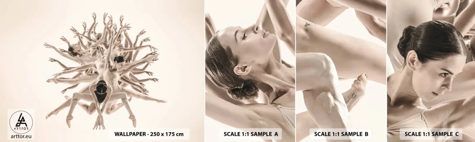 Campione Di Fotomurale Standard Eco - Fiorendo nella danza - Astrazione, Pezzo, Balletto - 100x30 cm