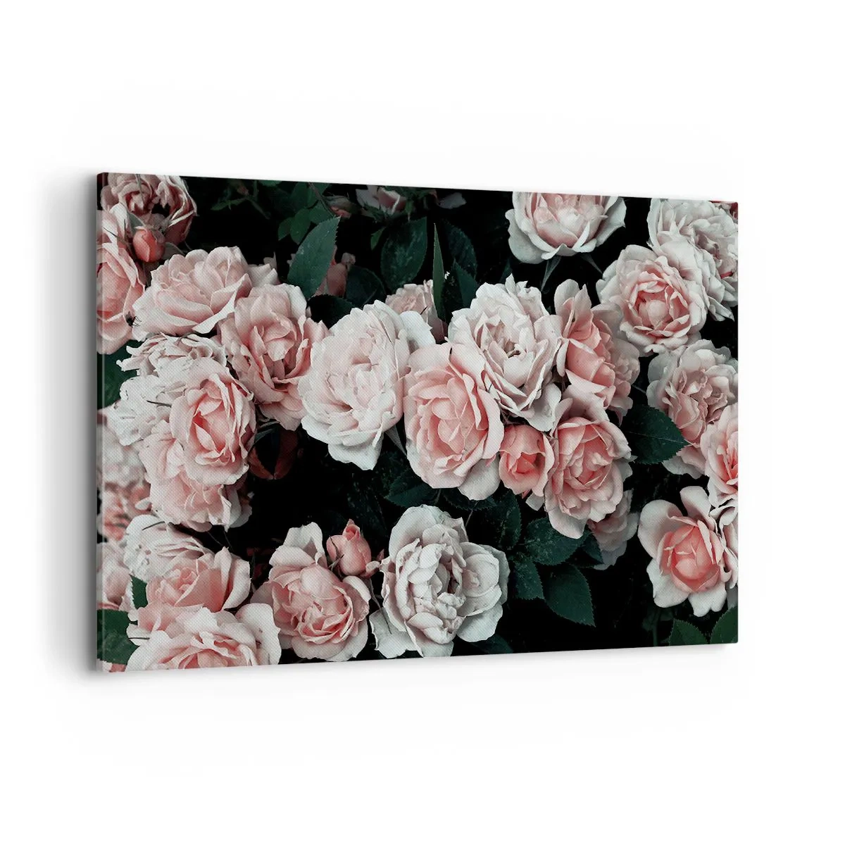 Quadro su tela - Stampe su Tela - Rose rosa su sfondo scuro in una composizione delicata - 120x80cm - Composizione di rose - Decorazione murale moderna per soggiorno e camera da letto ARTTOR