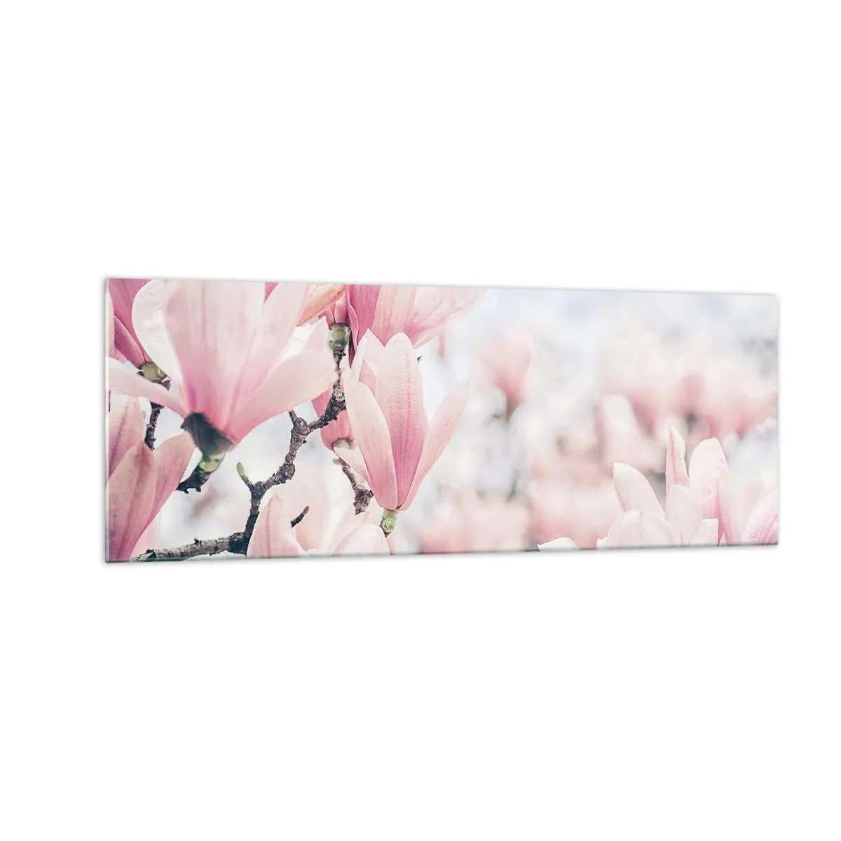 Quadro su vetro - Delicati fiori di magnolia in delicate tonalità rosa - 140x50cm - Ideale di delicatezza - Decorazione murale moderna per soggiorno e camera da letto ARTTOR