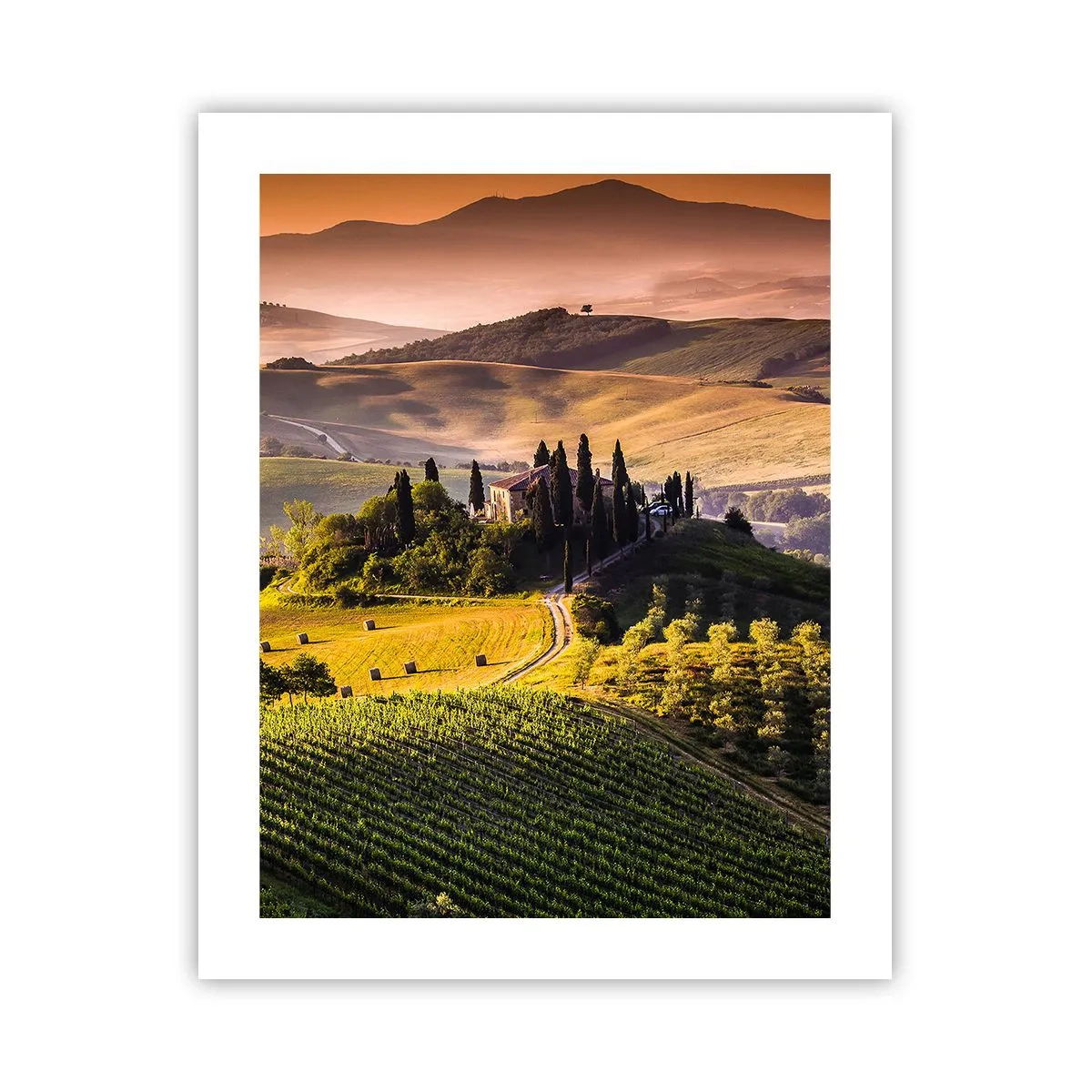 Poster - Arcadia: paesaggio toscano - 40x50 cm