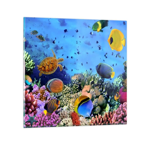Quadro su vetro - Ma cosa sappiamo della vita... - 60x60 cm
