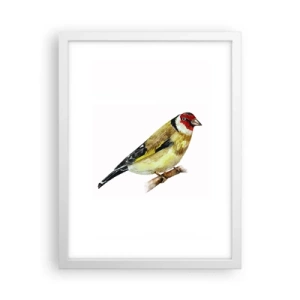 Poster in cornice bianca - Ritratto di uccello - 30x40 cm