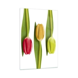 Quadro su vetro - Tulipani multicolori disposti in fila su uno sfondo bianco - 80x120cm - Composizione arcobaleno - Decorazione murale moderna per soggiorno e camera da letto ARTTOR