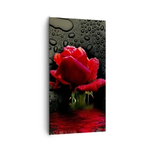 Quadro su tela - Stampe su Tela - Rosso e nero - 65x120 cm