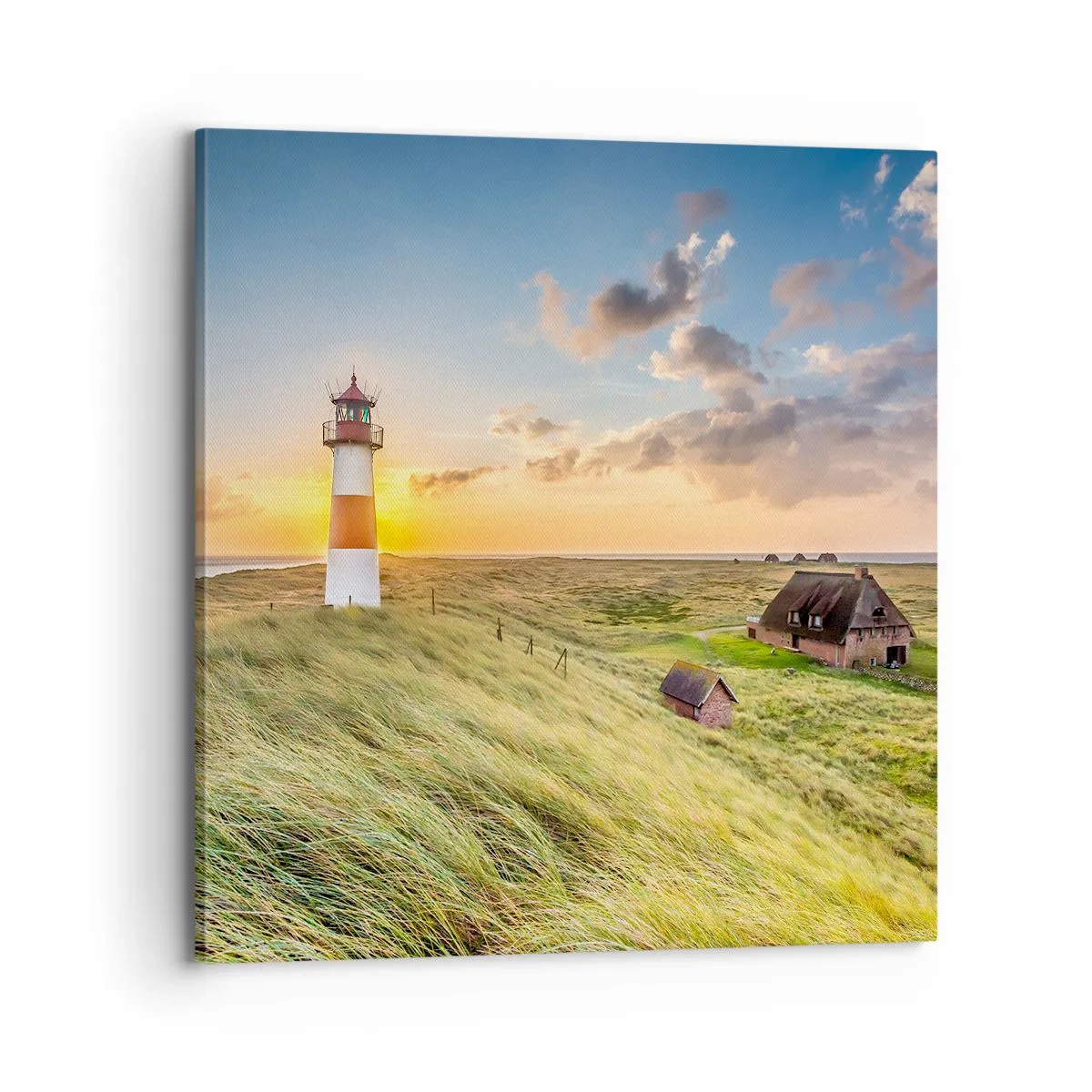 Quadro su tela - Stampe su Tela - Tra le onde - 70x70 cm