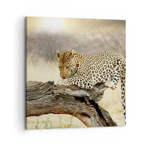 Quadro su tela - Stampe su Tela - Vado per la mia strada - 60x60 cm