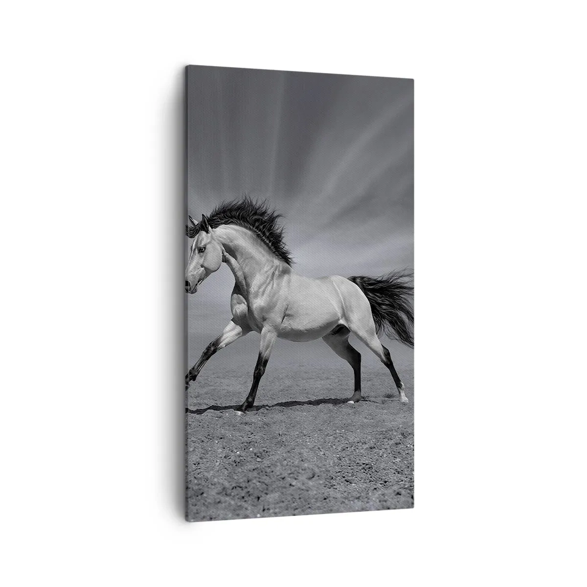 Quadro su tela - Stampe su Tela - Nato per affascinare - 45x80 cm