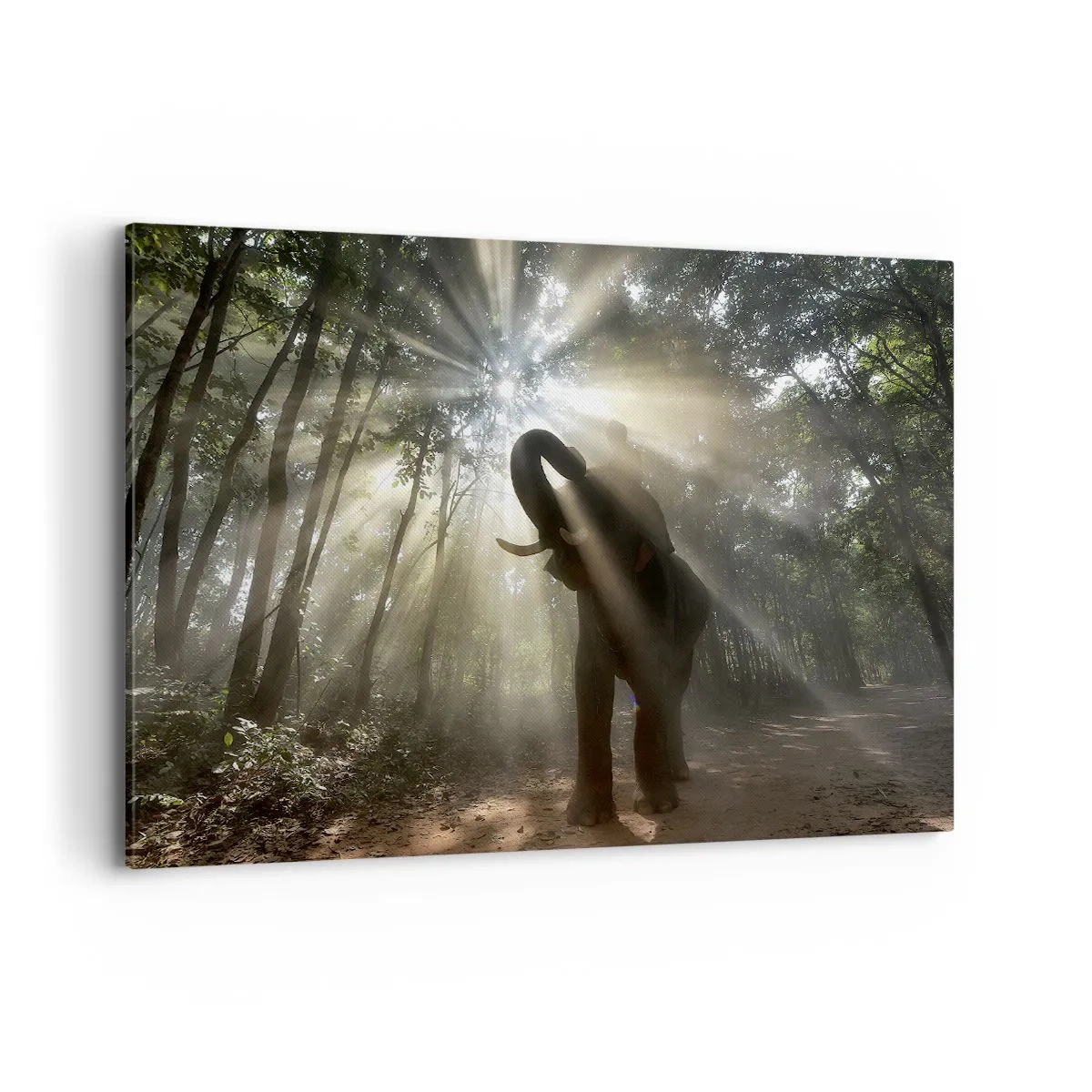 Quadro su tela - Stampe su Tela - Un elefante nella foresta circondato da raggi di luce nella nebbia mattutina - 120x80cm - Sotto una stella fortunata - Decorazione murale moderna per soggiorno e camera da letto ARTTOR