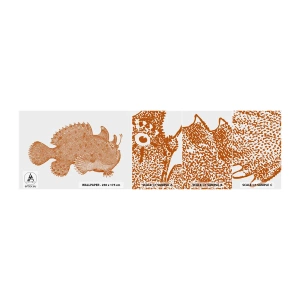 Campione di Fotomurale Adesivo Deluxe Sticker - È davvero un pesce - Pesce di mare, Oceano, Mare - 100x30 cm
