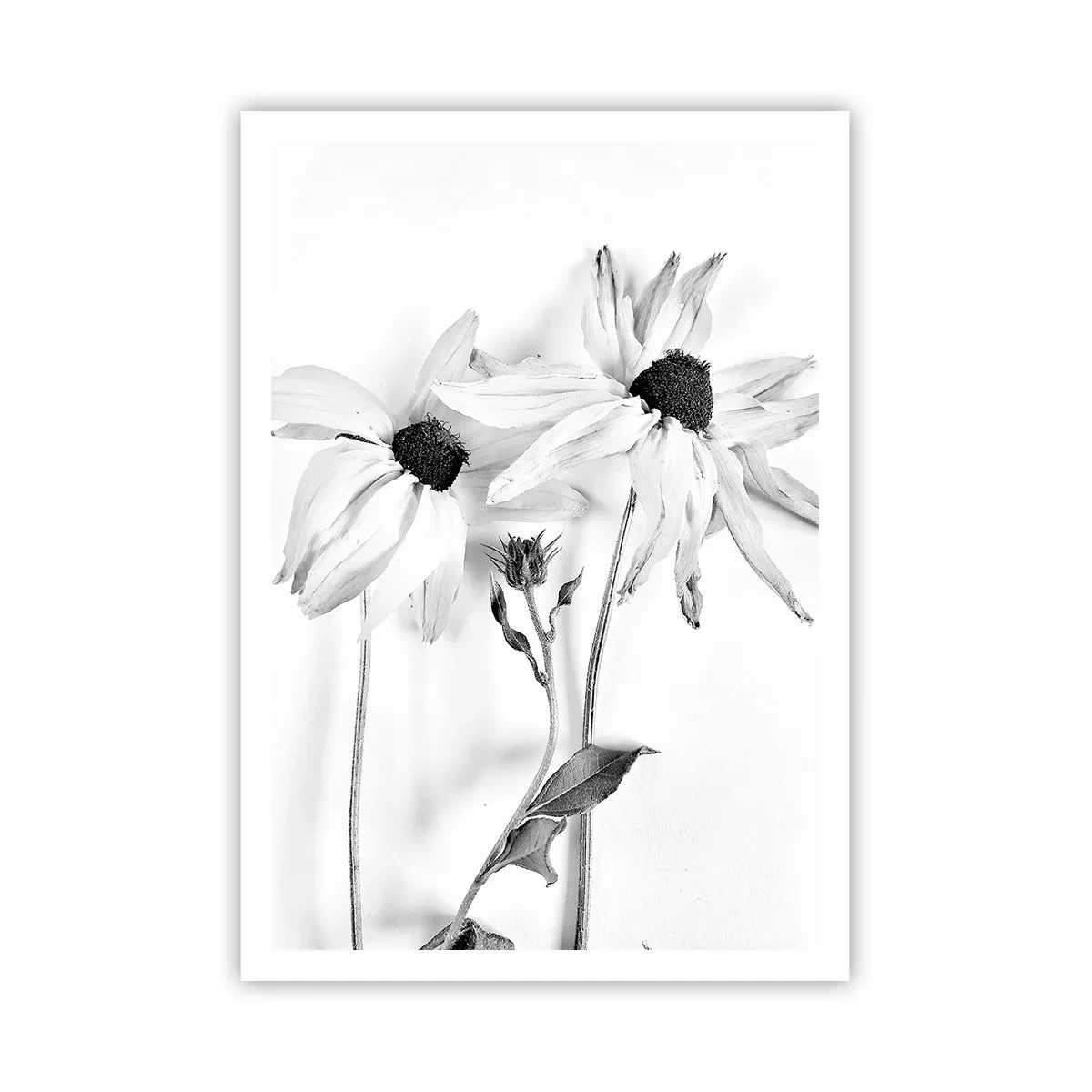 Poster - Nessuno vuole essere solo - 70x100 cm