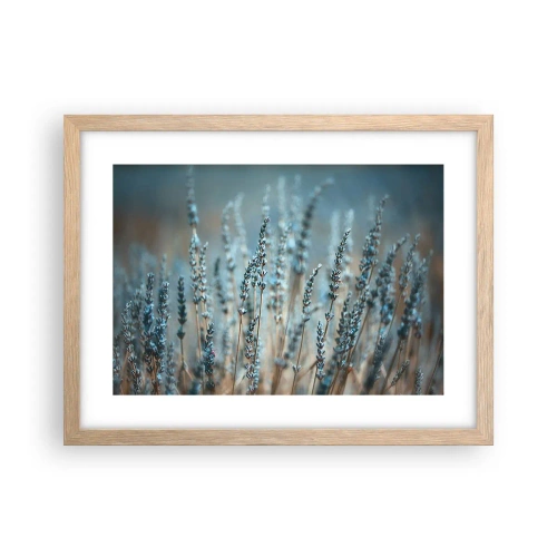 Poster in cornice rovere chiaro - Campo profumato - 40x30 cm