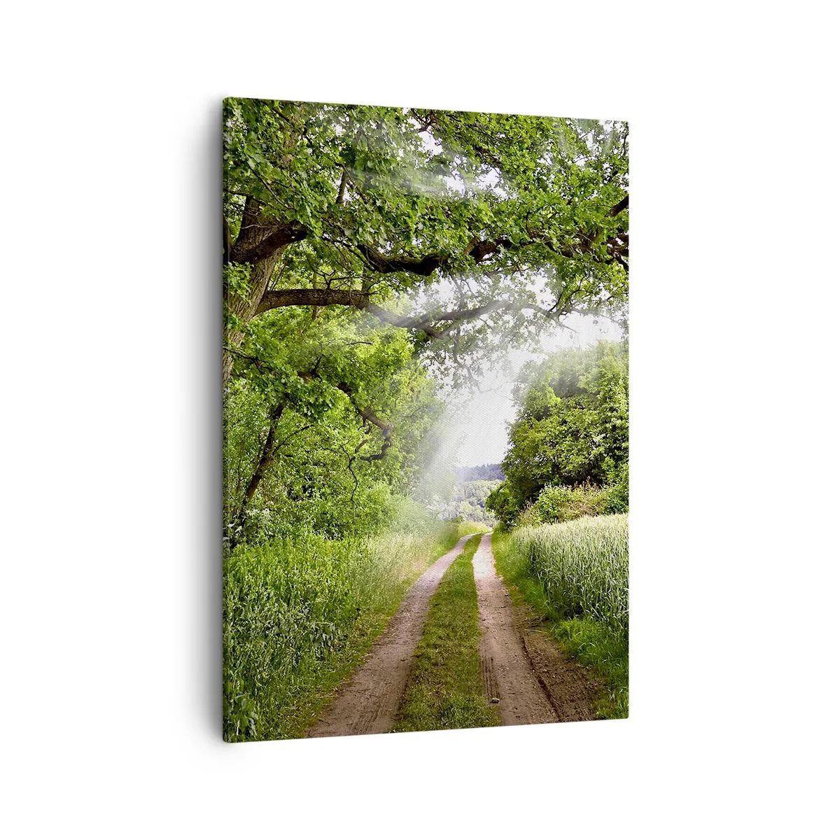 Quadro su tela - Stampe su Tela - Una strada sterrata tra alberi verdi e luce solare - 50x70cm - Et in Arcadia ego - Decorazione murale moderna per soggiorno e camera da letto ARTTOR