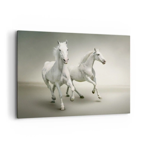 Quadro su tela - Stampe su Tela - Due cavalli bianchi al galoppo su uno sfondo chiaro - 100x70cm - White power! - Decorazione murale moderna per soggiorno e camera da letto ARTTOR