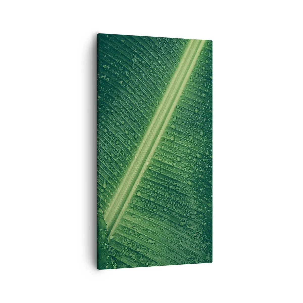 Quadro su tela - Stampe su Tela - La struttura del verde - 55x100 cm